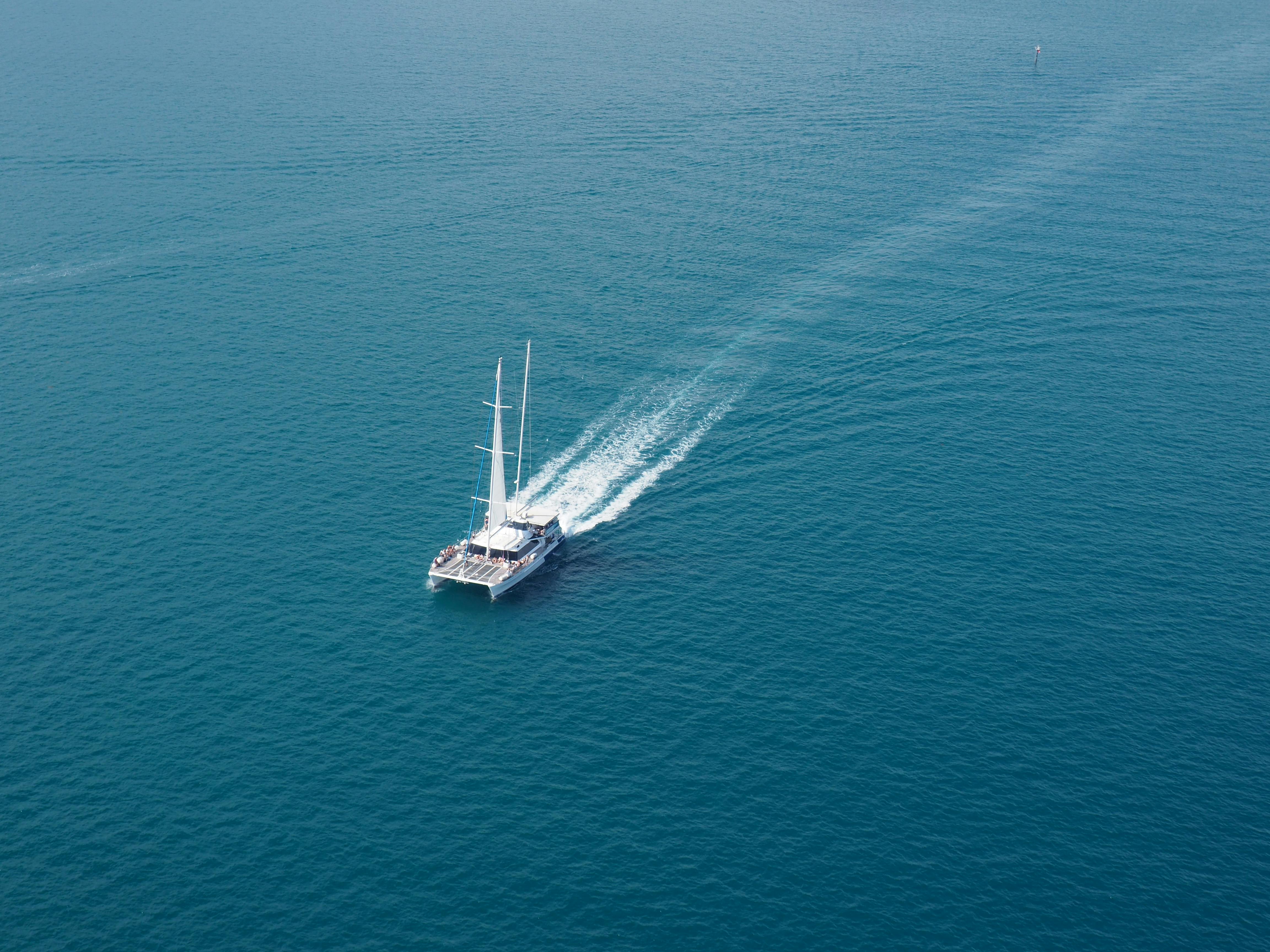 a catamaran sailoat